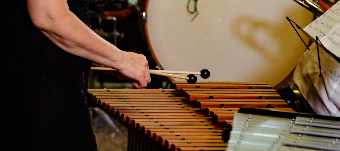 Musicisti a Mogliano